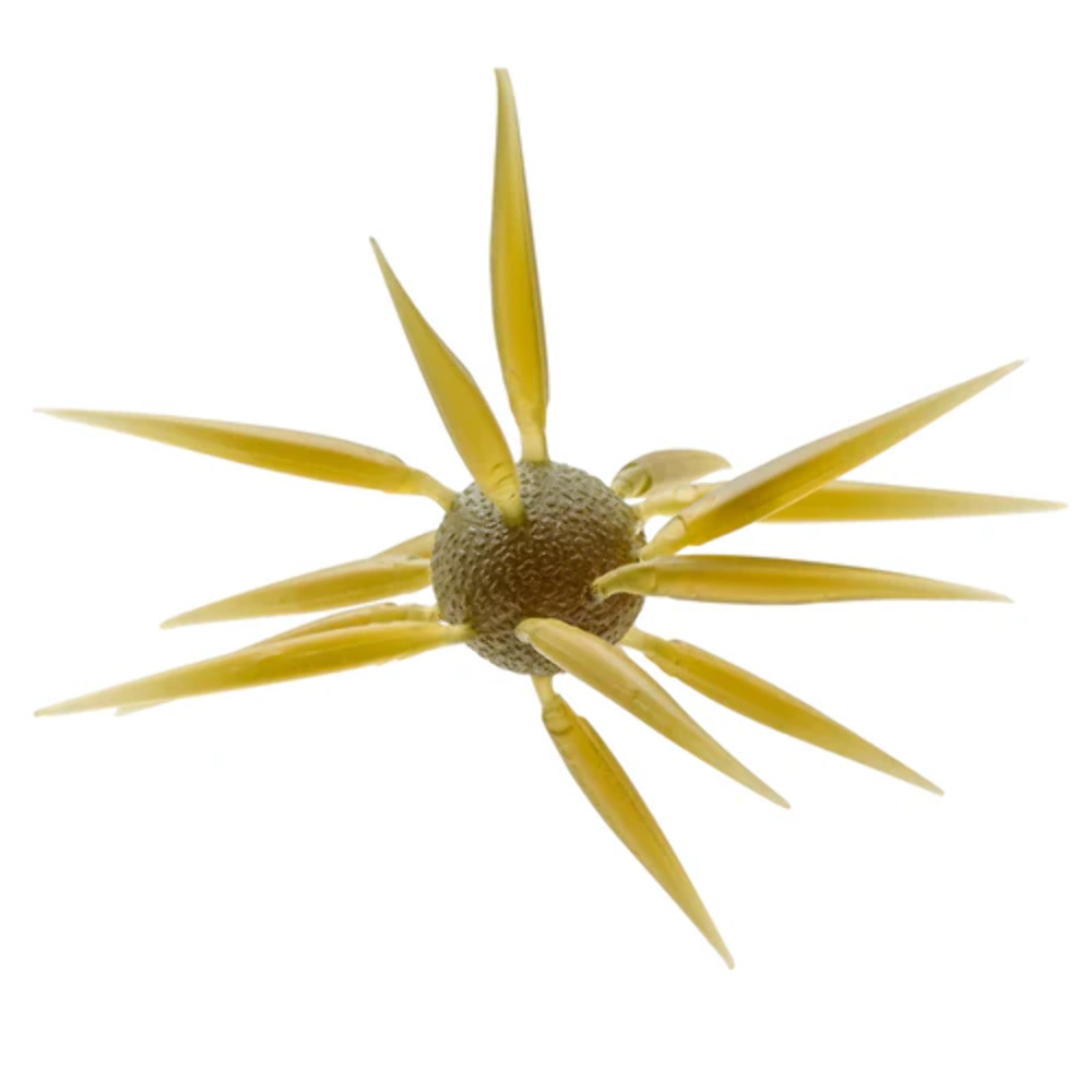 Hideup Coike Fish Elastomer L-