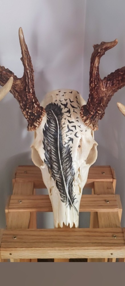 13 Point Ohio Whitetail Deer