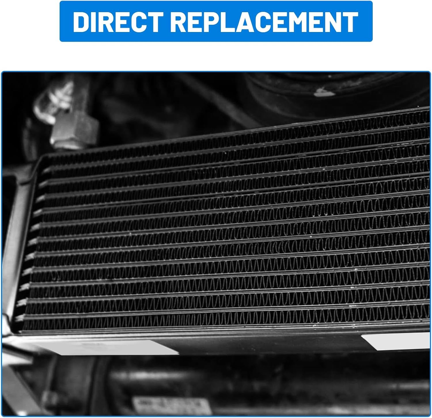 New 10 Row 10AN Aluminium Engine Transmission Oil Cooler Kit w/ 6AN 8AN Adapter