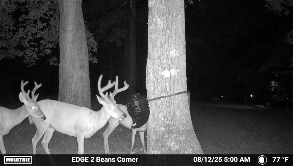 Feed Bin - Gravity-Fed 6-Gallon Feed Bin - Easy Tree/Post Mount -40 Lb Capacity