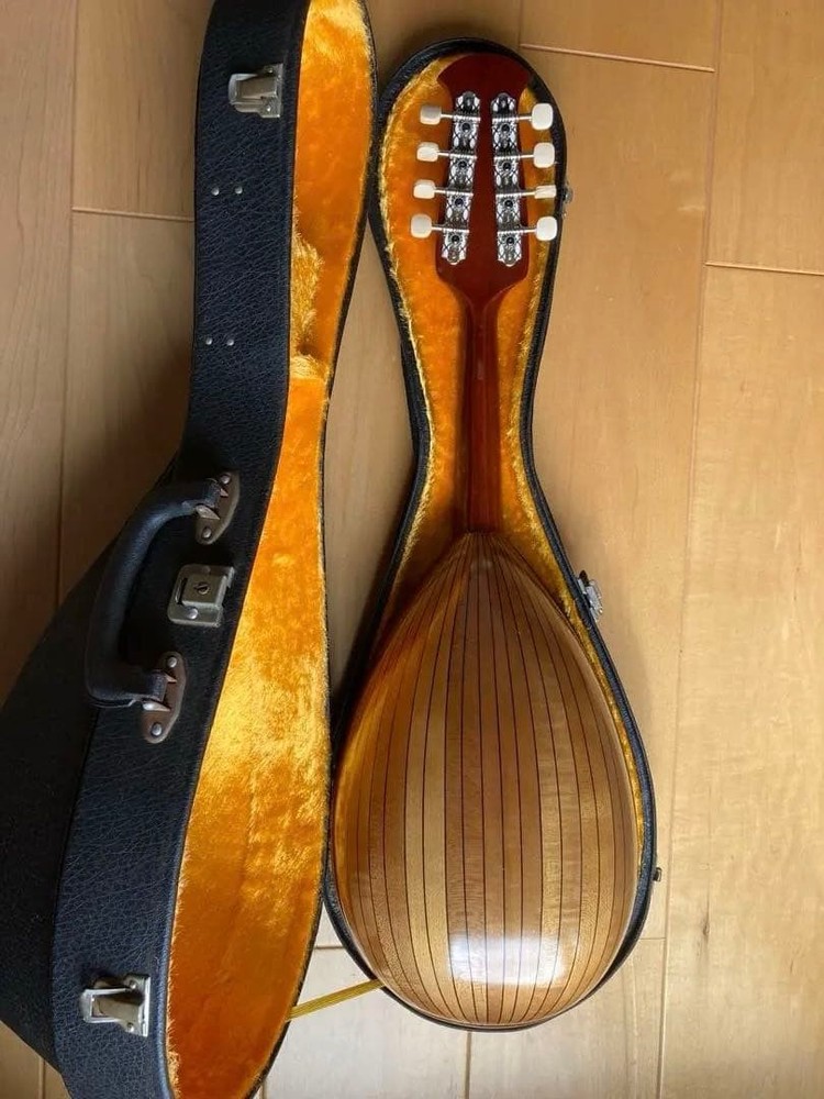 Mandolin 8 string spruce body
