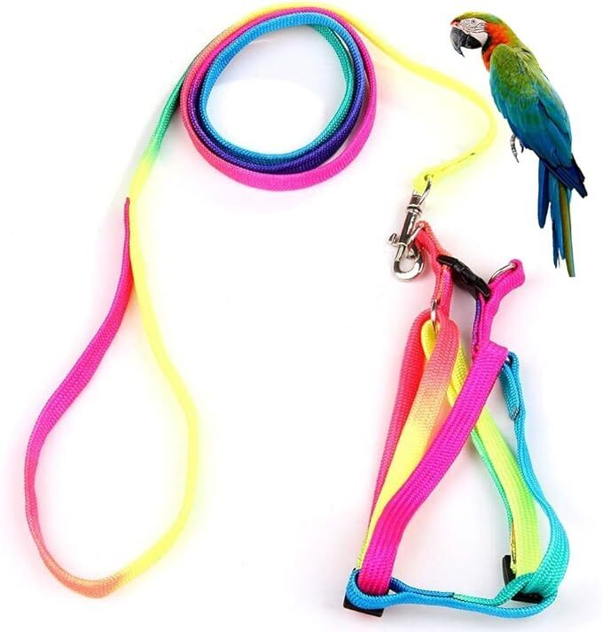 Adjustable Feather Tether Bird Harness and Leash for Macaw Cockatoos Parrots