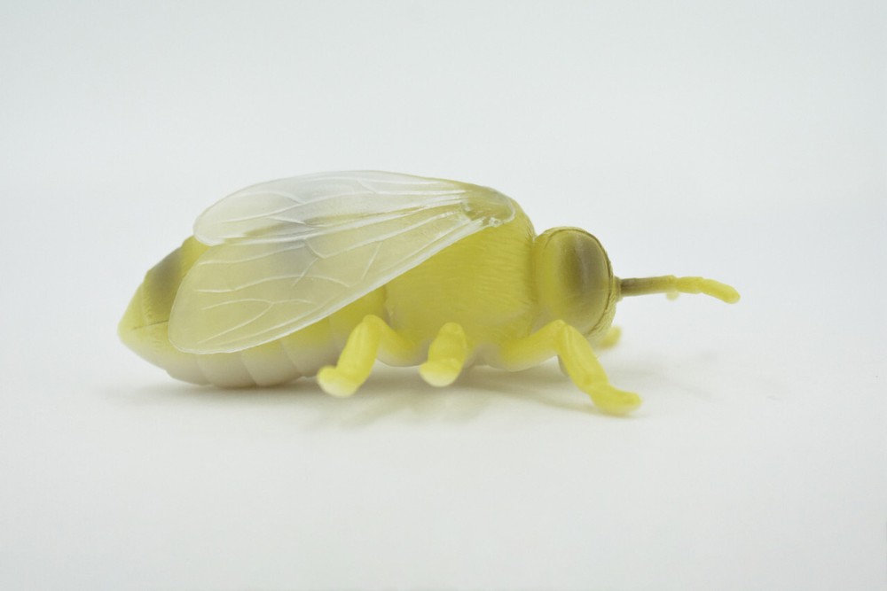 Bumblebee, Solid Rubber Insect, Toy, Realistic Figure Model 3.5" ABC15B263