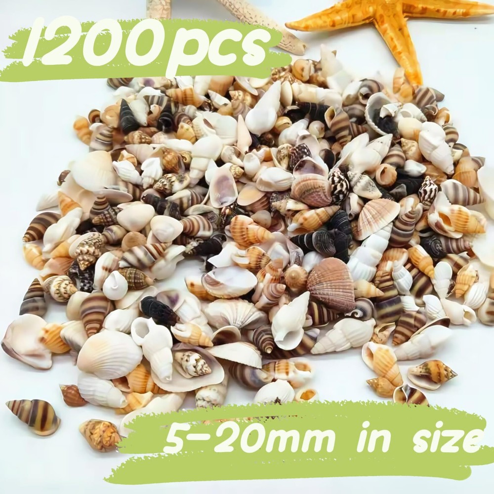 1200 Pcs Tiny Sea Shells Mixed Ocean Beack Spiral Seashells for Fish Tank