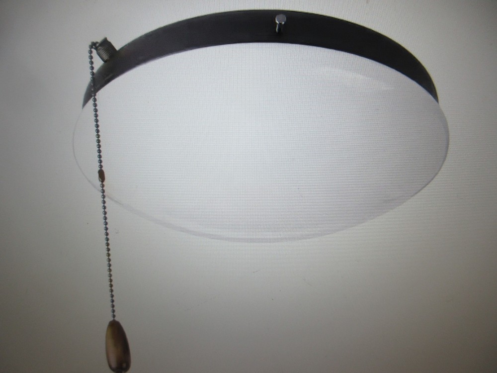 Progress Lighting Fan Light Kits Collection 2-Light Graphite Ceiling Fan Light