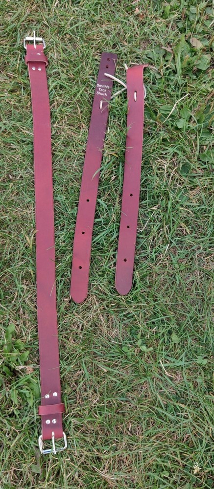 Back Cinch Leather Smith's Tack Shack