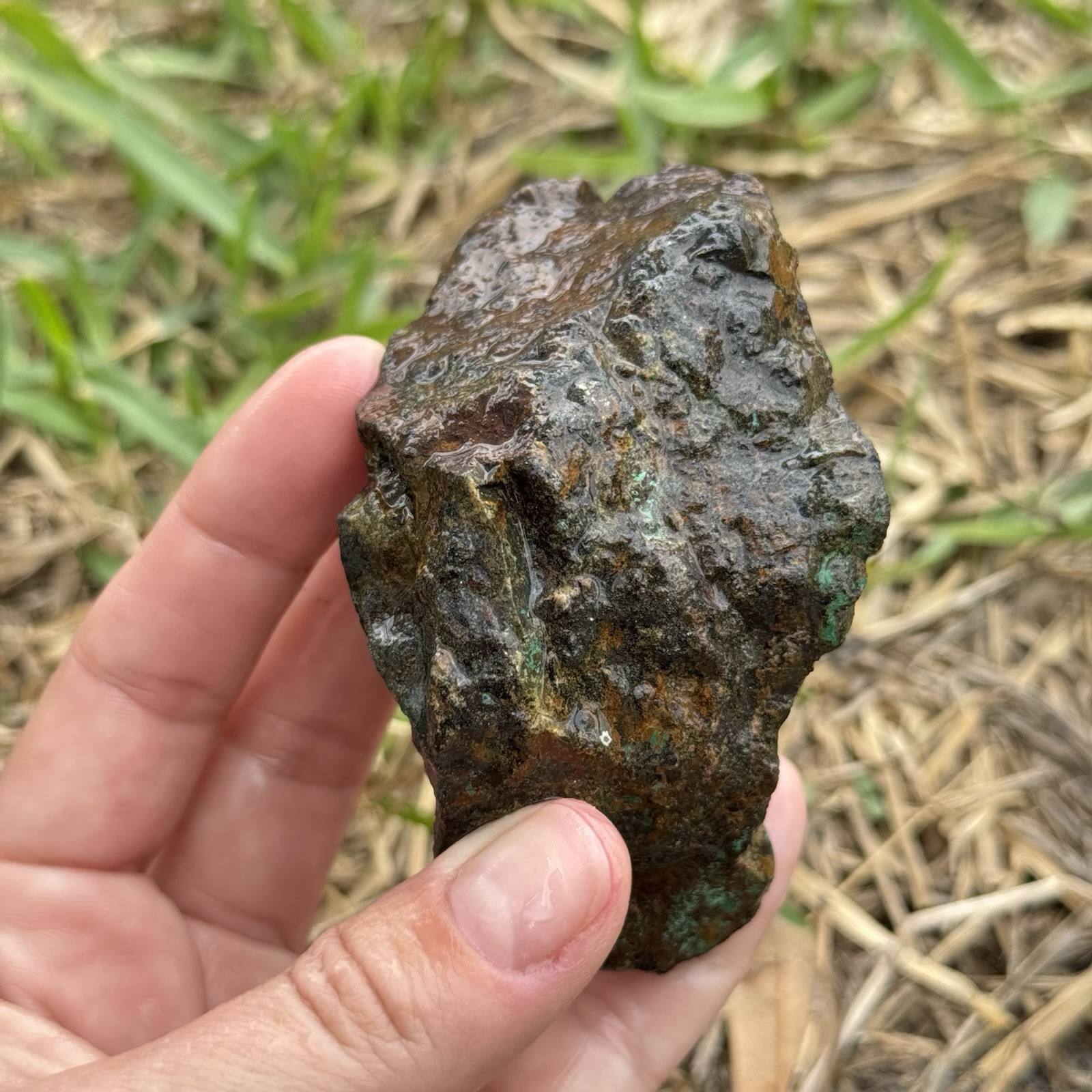 9oz Chalcopyrite w/ Green Chrysocolla Copper Ore Rough Rock Specimen Texas