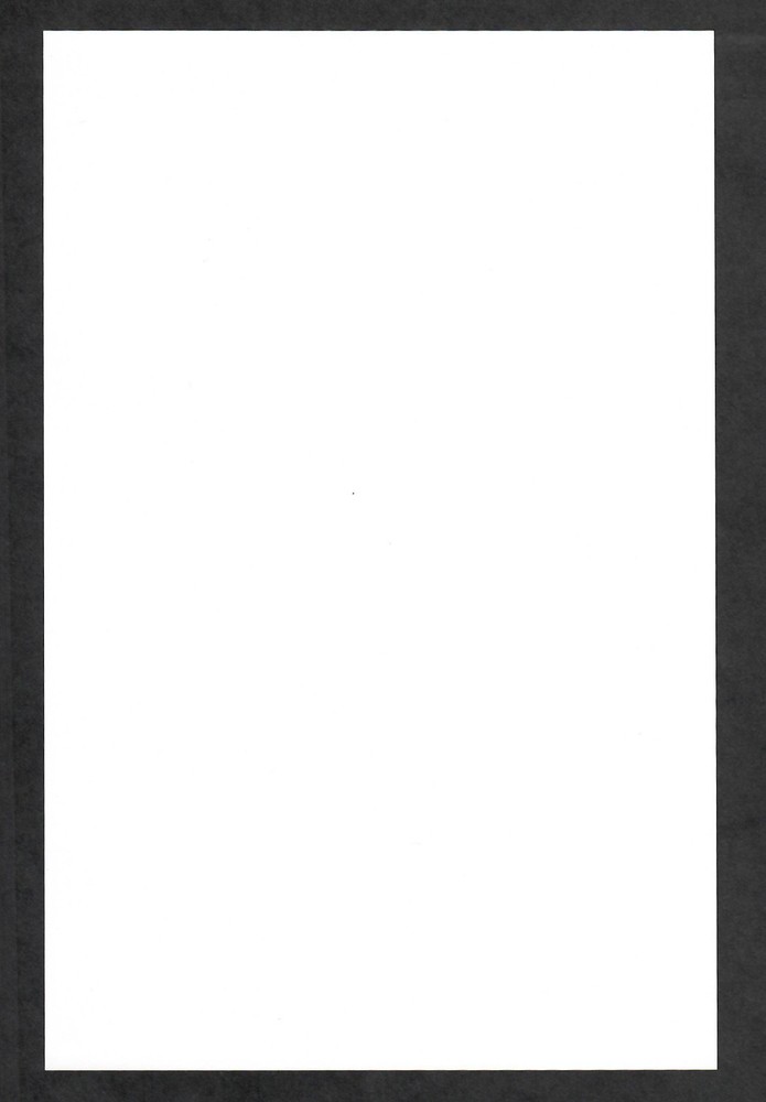 Fillmore 2009 Handbill Foreigner TOP Toots Train Matisyahu They Might Be Giants