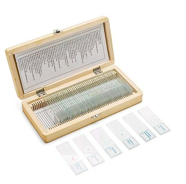 50pcs Prepared Microscope Slide Set Basic Biological Science Education 🔬