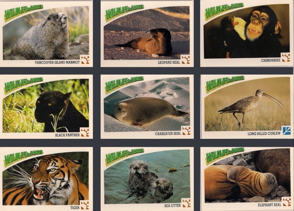1992 WILDLIFE IN DANGER BOXED COMPLETE BASIC TRADING CARD SET