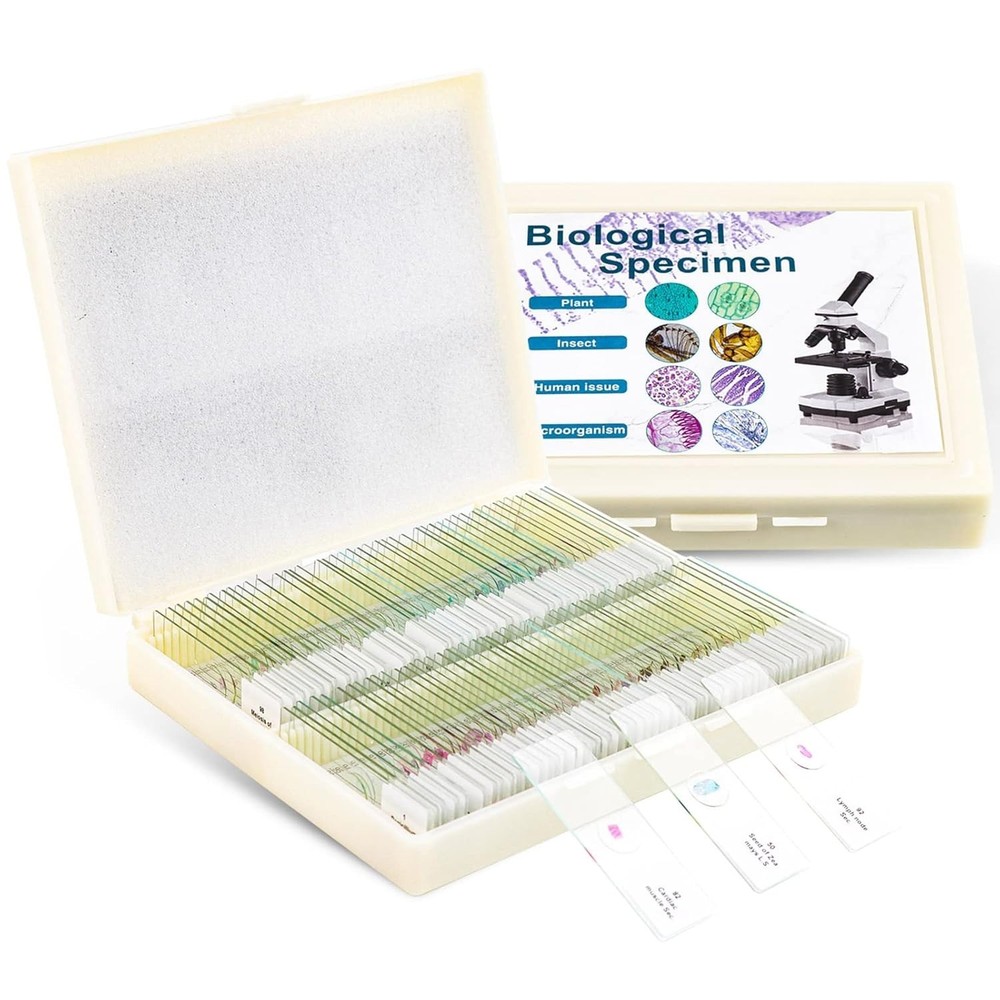 Optical Glass Prepared Microscope Slides - 100 Specimens for Science Exploration