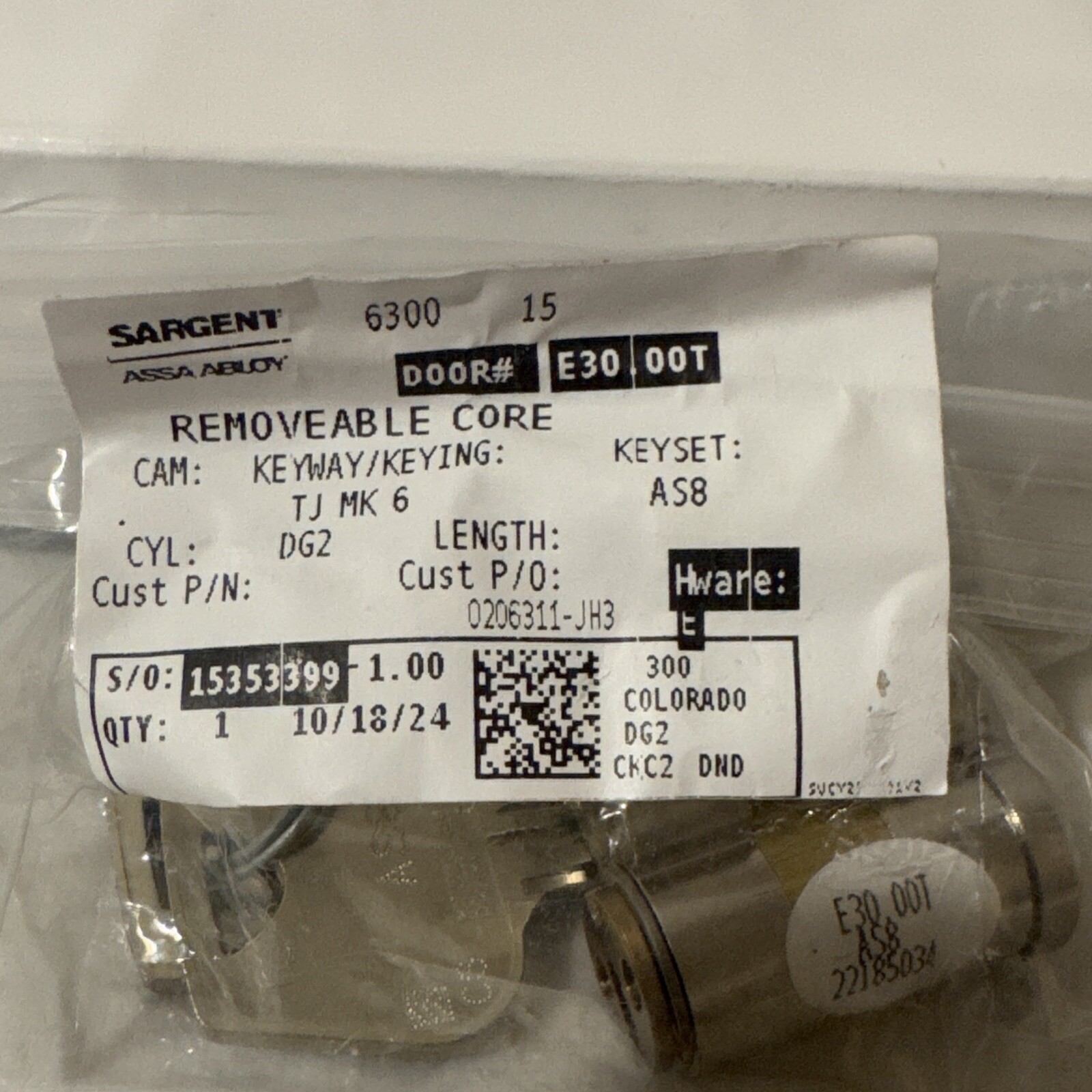 Sargent Assa Abloy Removable Core Large Format Cam Cylinder DG2630015 W/2keys B7