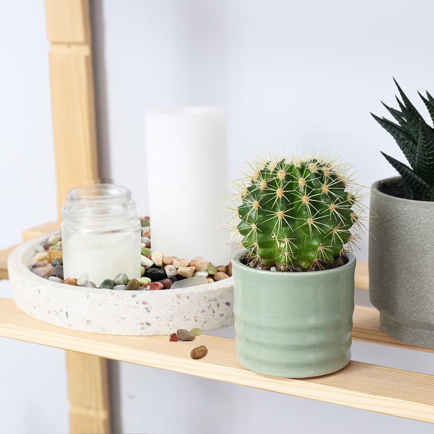 Succulent Rocks, 3/8 Inch Polished Pebbles for Indoor Plants, Decorative River R