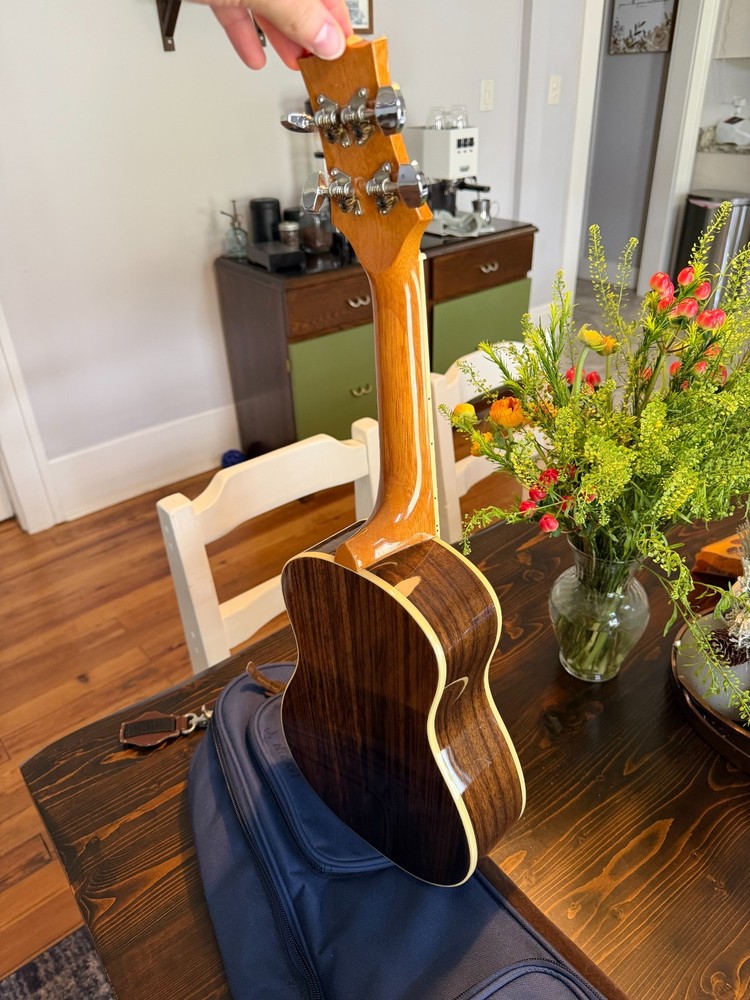 Mitchell MU70 Concert Ukelele
