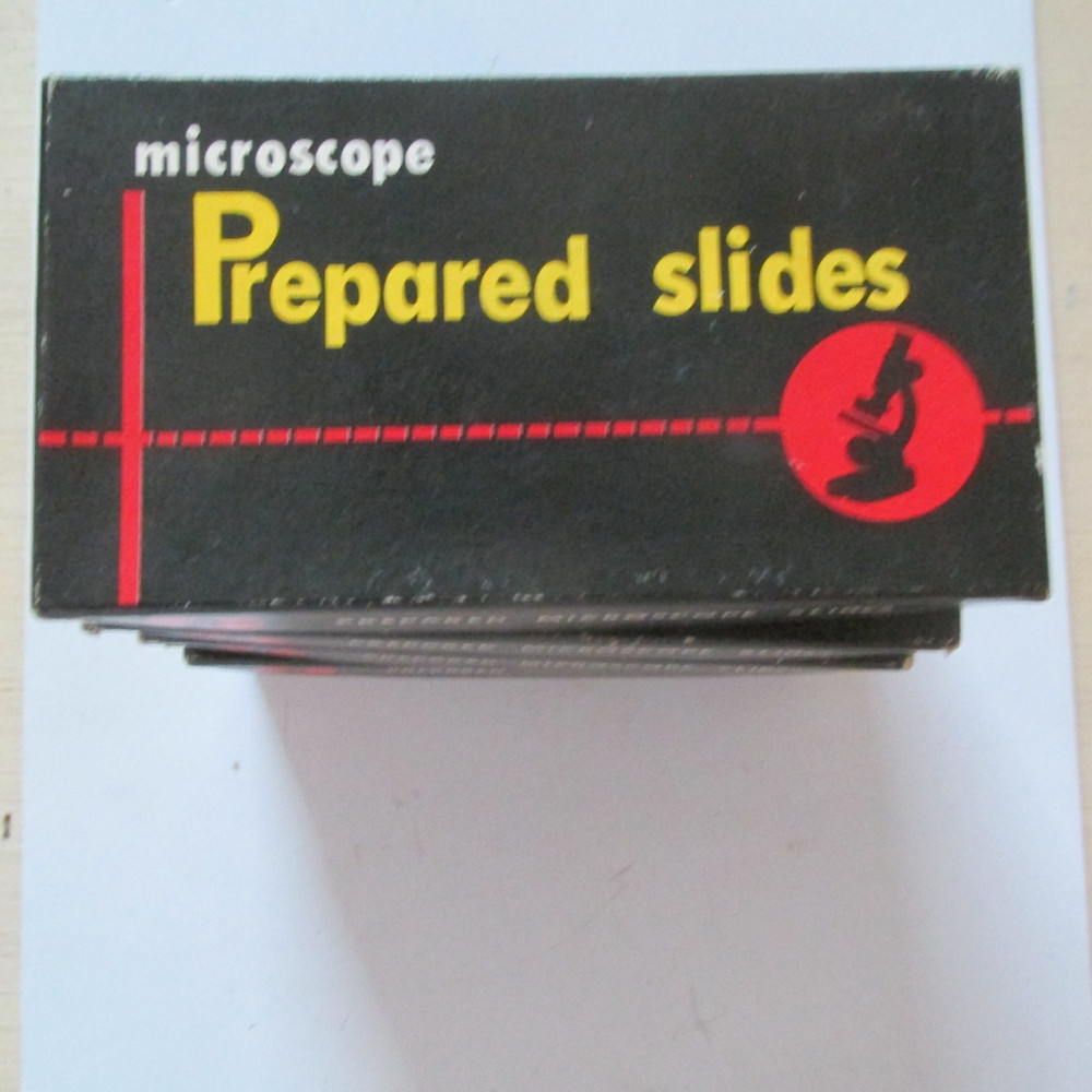 PREPARED SLIDES SPECIMEN SAMPLES JAPAN CCP MICROSCOPE PART ANIMALS "AS PICTURED"