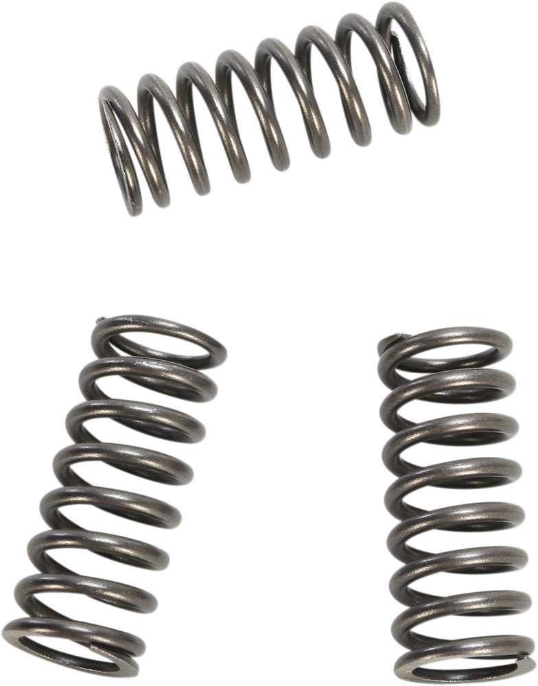 EBC CSK Clutch Spring Kit CSK218