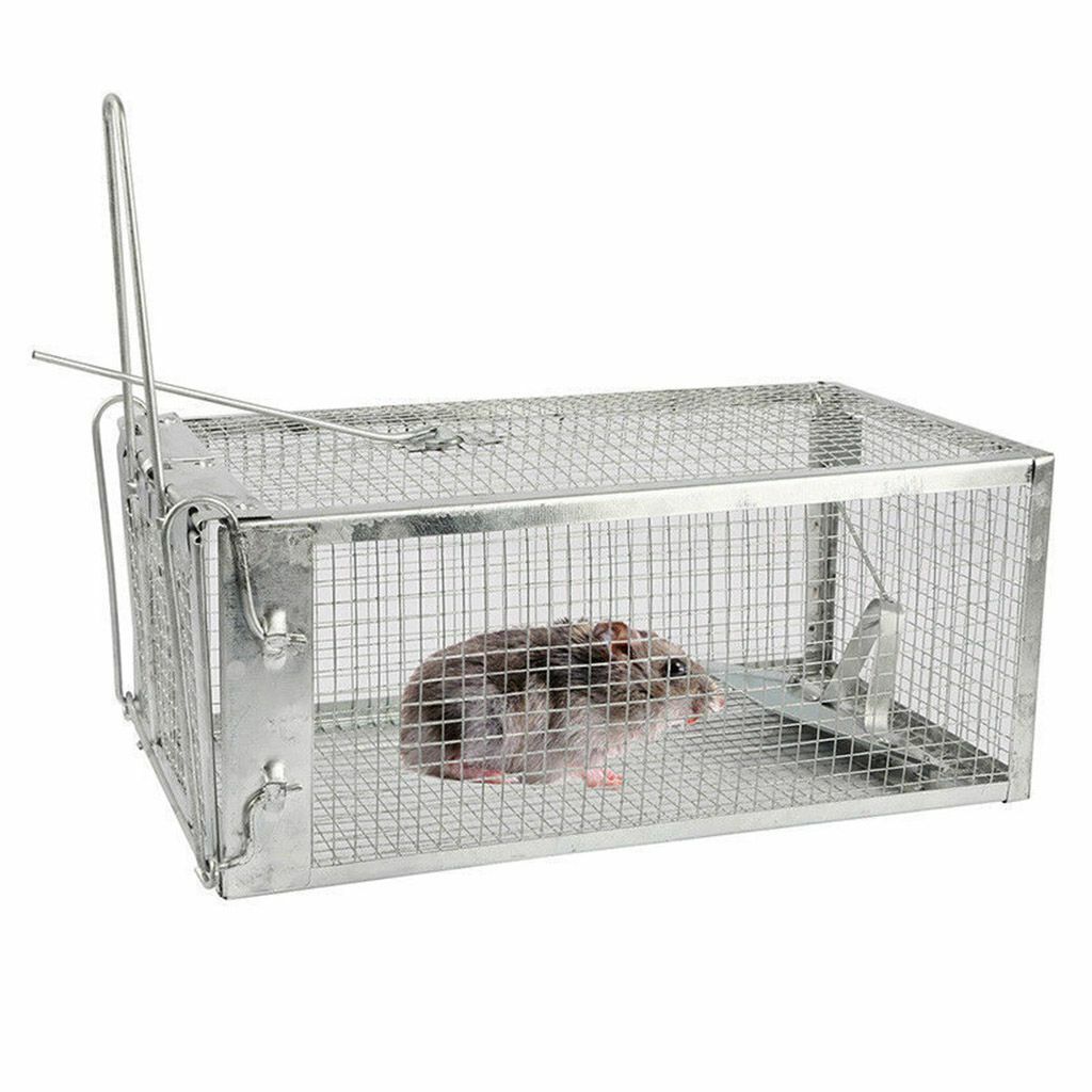 1-3x Live Humane Cage Trap For Squirrel Chipmunk Rat Mice Rodent Animal Catcher