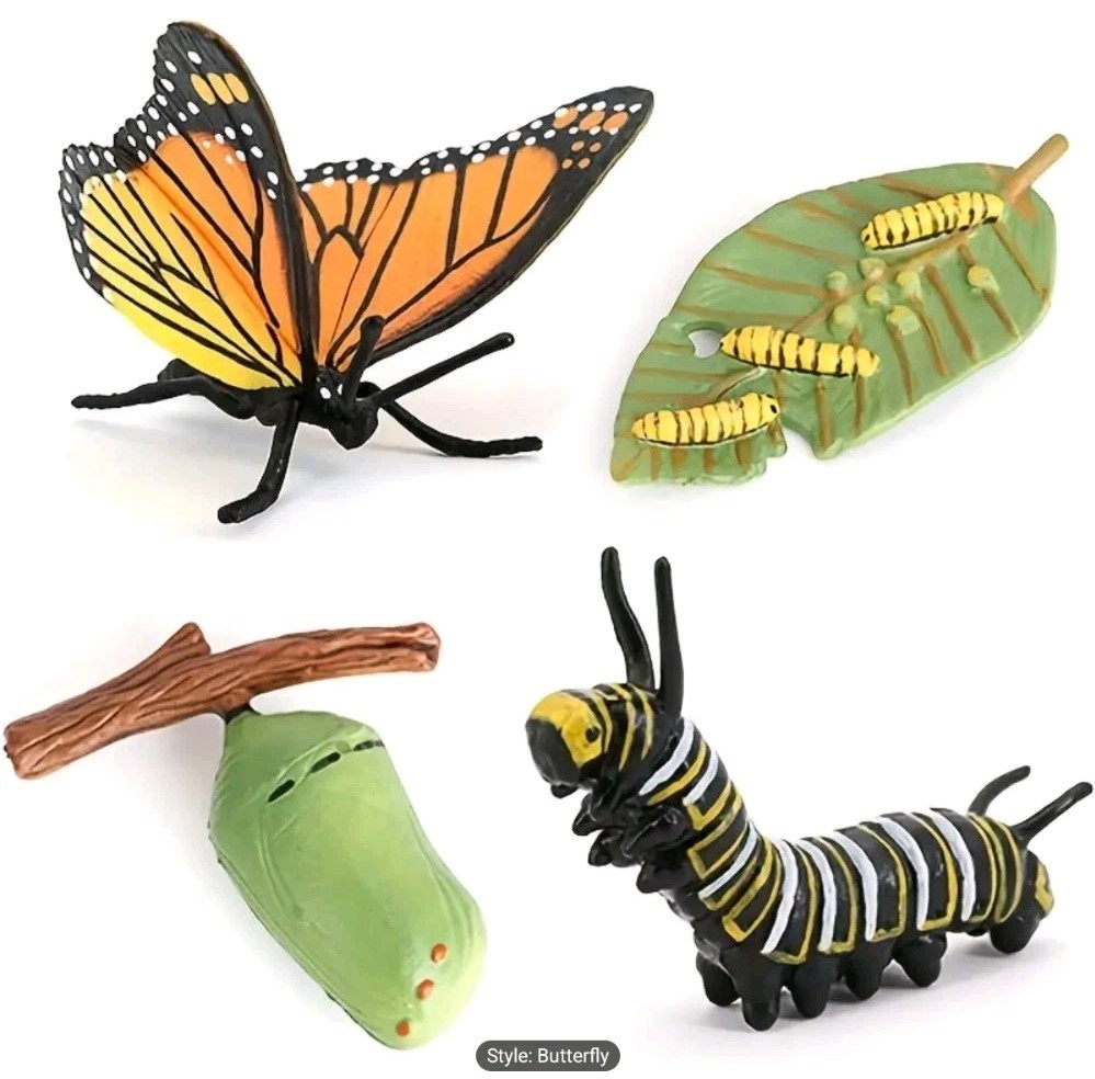 Butterfly Life Cycle Model Kit Educational Teaching Tools Learning Aids 4 Pcs