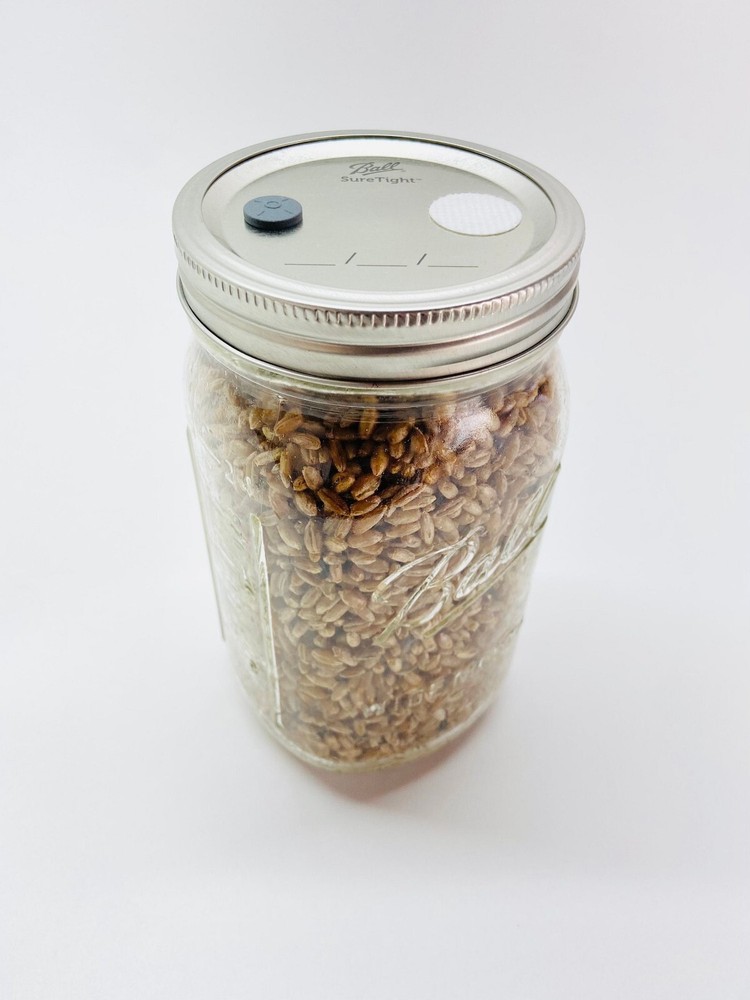 Mushroom Grain Jar