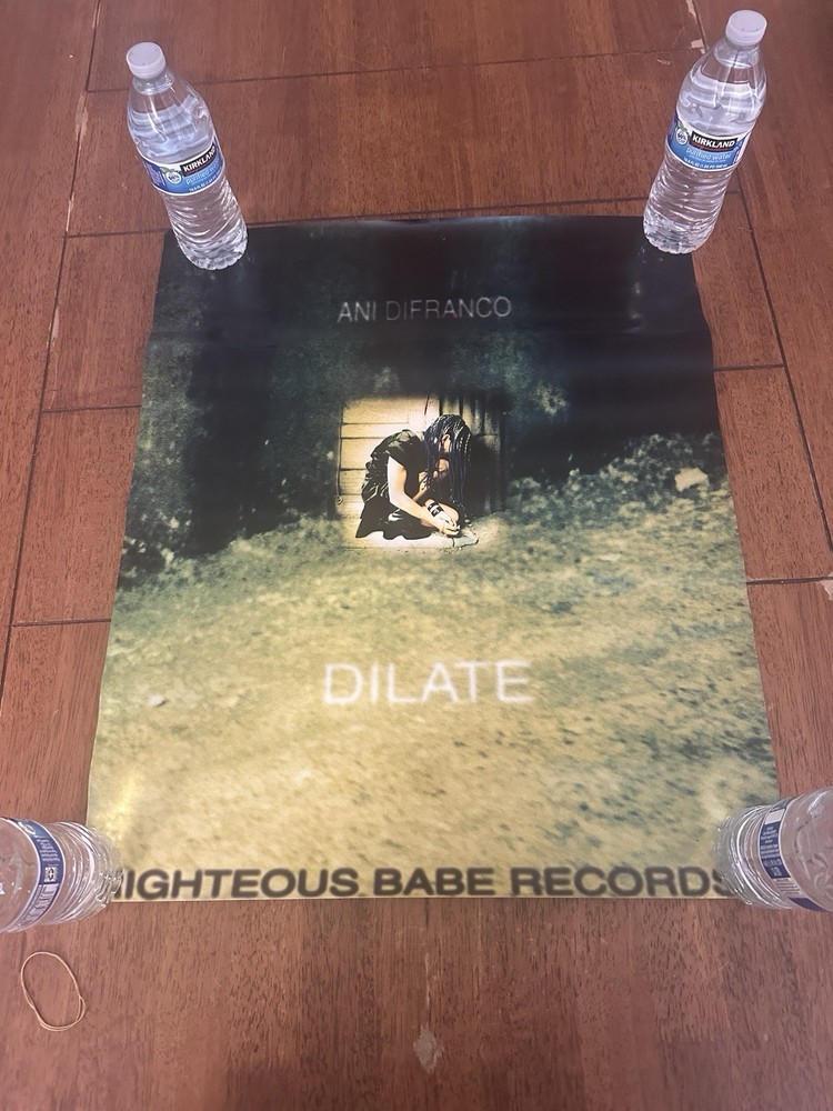 Ani Difranco “Dilate” Poster 25”x20” Bjork