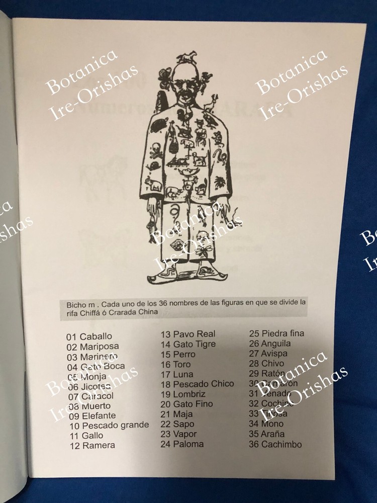 Libro Los 100 números de la Charada