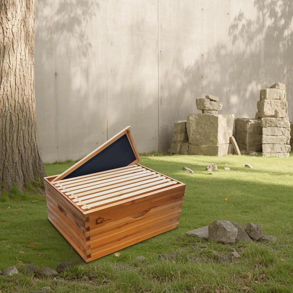 10-Frame Langstroth Deep Beehive Box with Wax-Coated Frames & Foundation Sheets