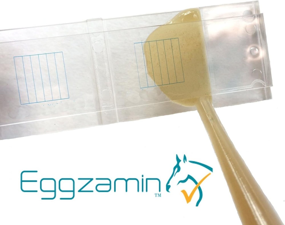 McMaster Method Microscope Slide - FEC (Fecal Egg Count) or Worm Count, Double C