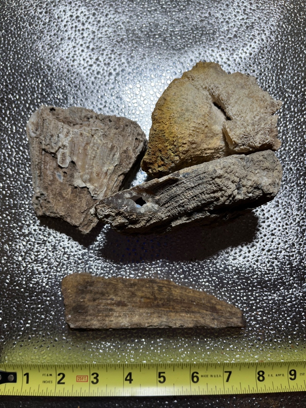 AGATIZED CORAL FLORIDA AGATE GEODES LOT 3 lb 5 oz 4 LARGE FOSSILIZED CORAL GEODE