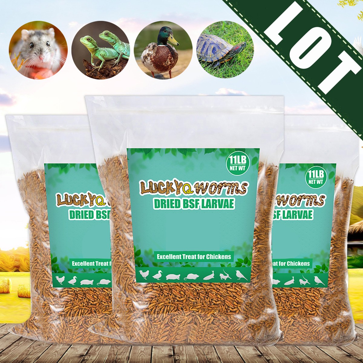 5-44LB Dried Black Soldier Fly Larvae Mealworms for Chicken Birds Treats Premium