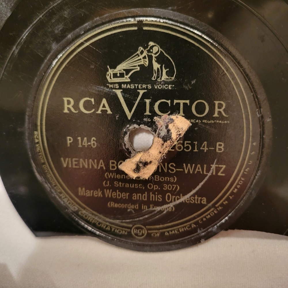 Old Broken Victrola Record Pieces