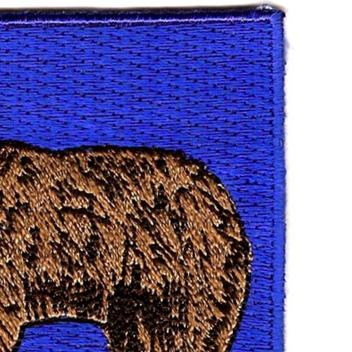 62nd Infantry Regiment Patch