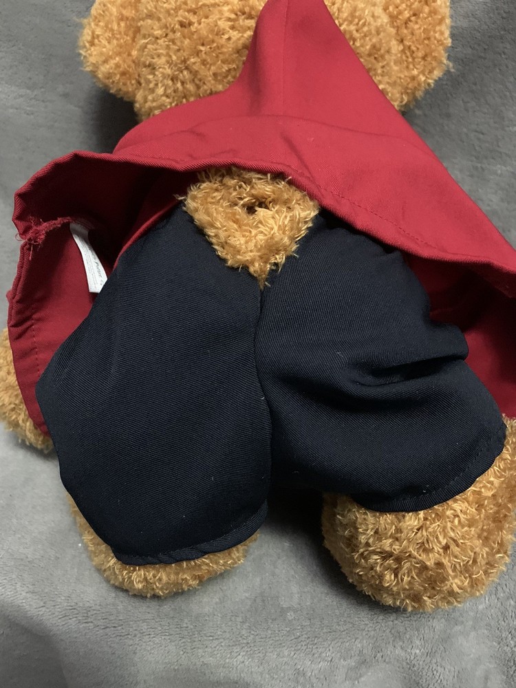 Universal Studios Exclusive Harry Potter Gryffindor Quidditch Teddy Bear Plush