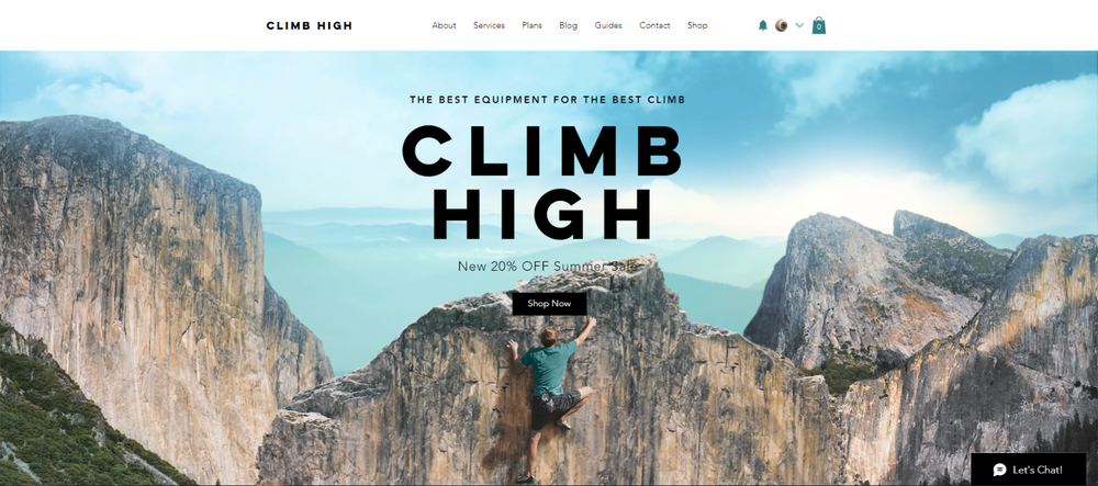 Wordpress Website Developer