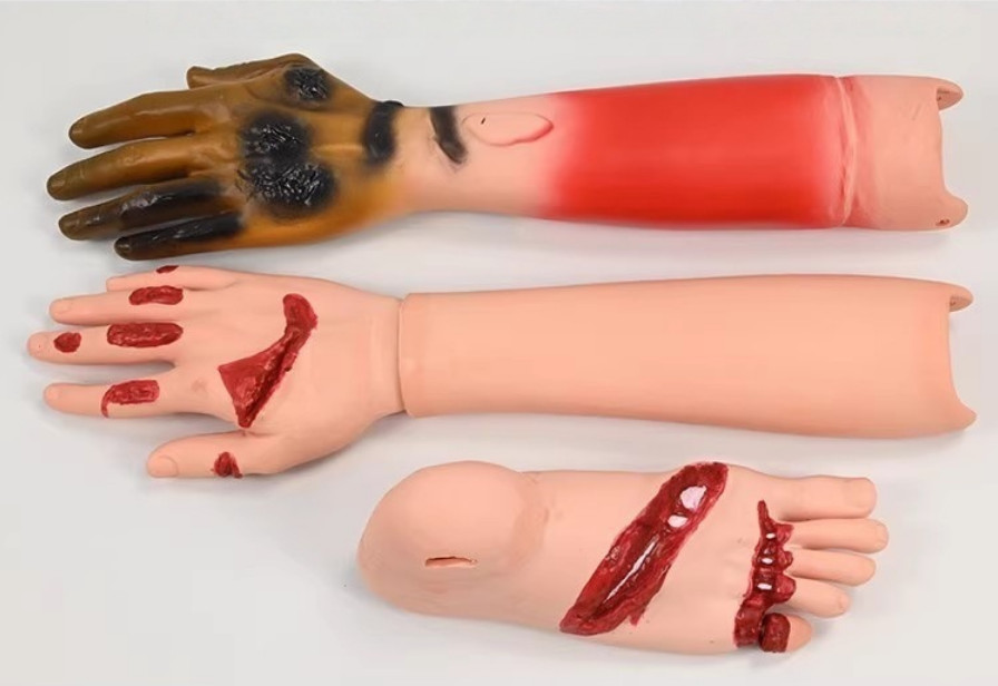 16Pc Trauma Evaluation Module First Aid Simulation Training Model Emergency Care