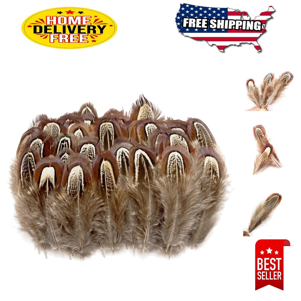 Eco-Friendly 50 Pcs Natural Pheasant Feathers - Ideal for Decorative Projects