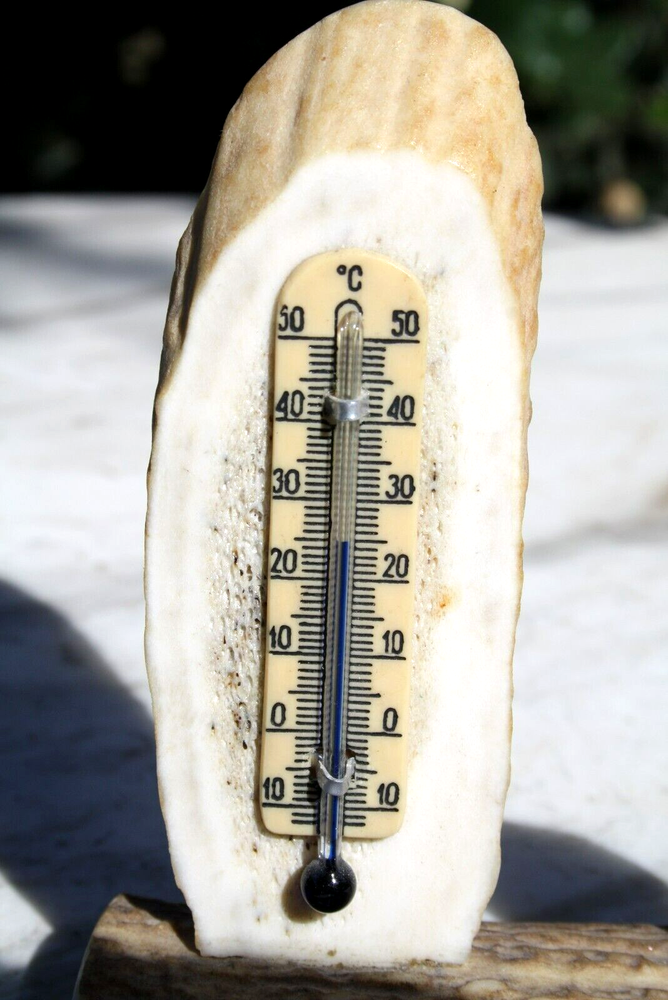 Vintage Antler Bone Thermometer Celsius with Turquoise Leaf