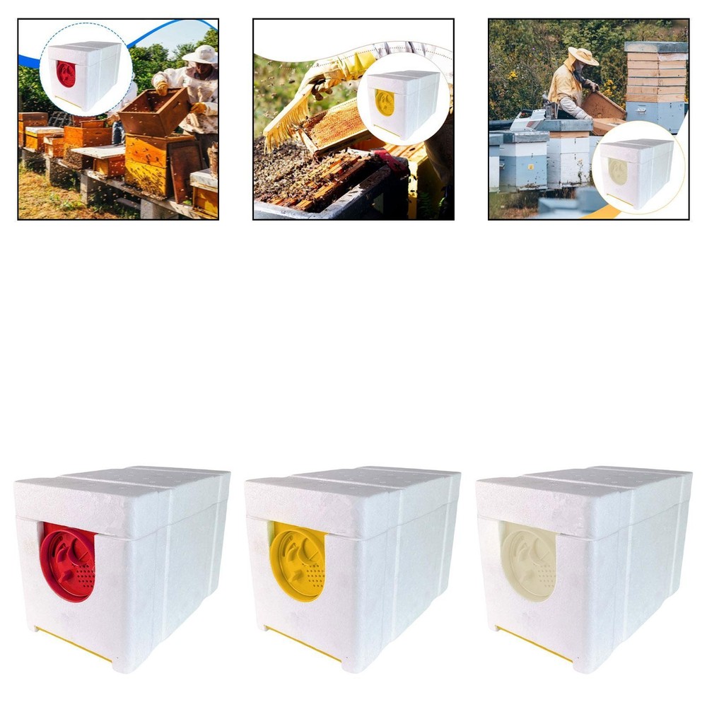 Queen Bee Breeding Box Portable with 4 Frame for Mating Pollination Rearing