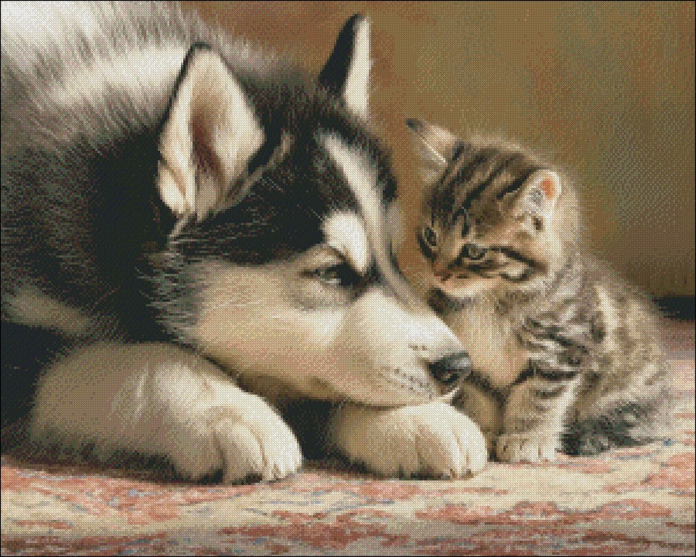 Husky and Tabby - DIY Chart Counted Cross Stitch Patterns Needlework DMC Color