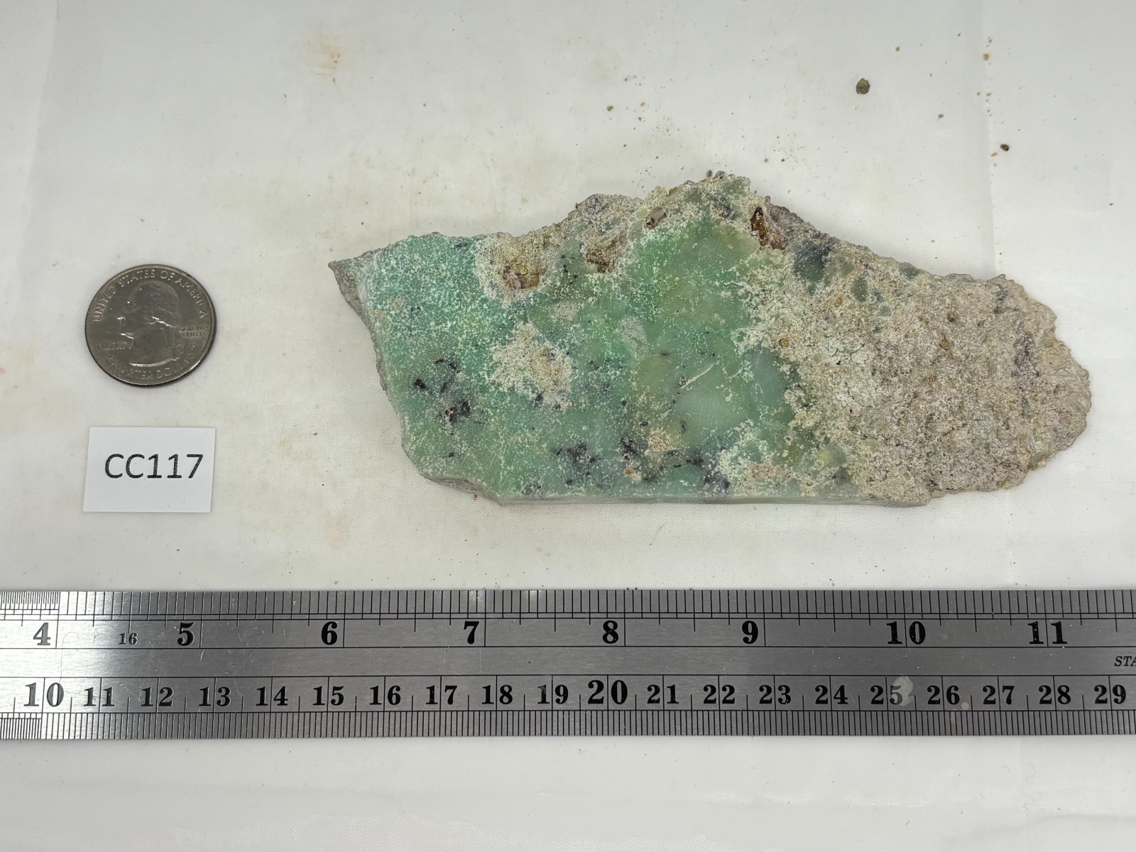 Indo Dendritic Chrysoprase Slab Cabbing Lapidary Collecting Combo Ship Avail