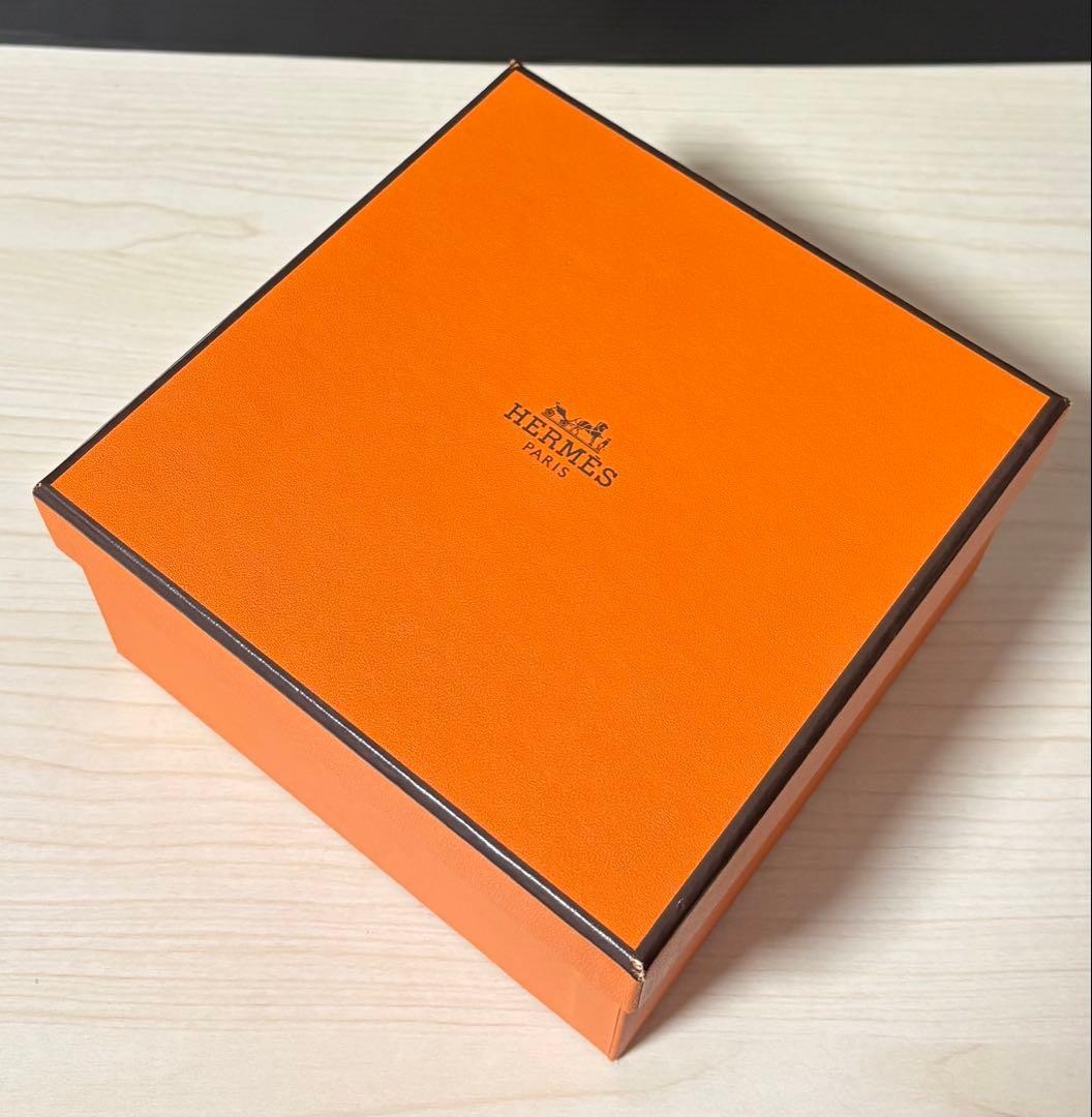 Hermes Siesta Teacup & Saucer Brand New Unused with Original Box Included