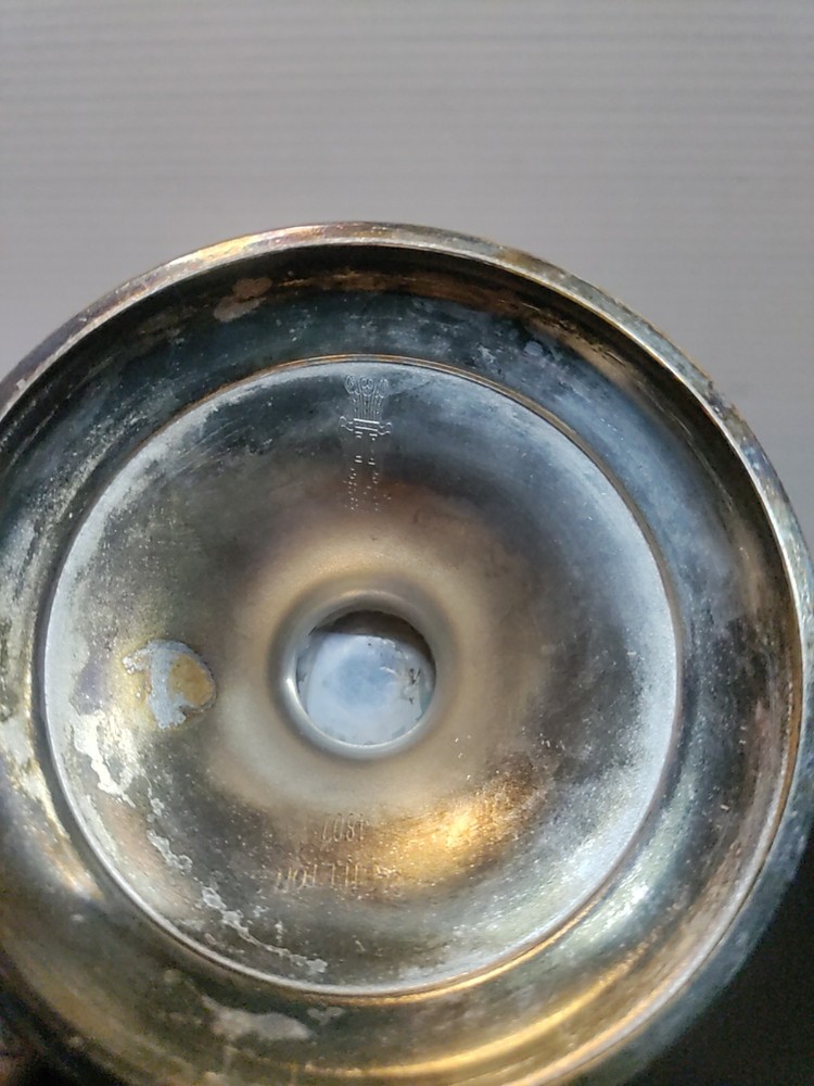 Castleton 4801 Silverplate Teapot