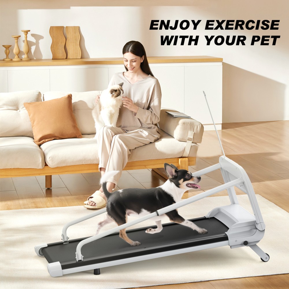 Quiet Smart Pet Treadmill W Adjustable Speed Perfect