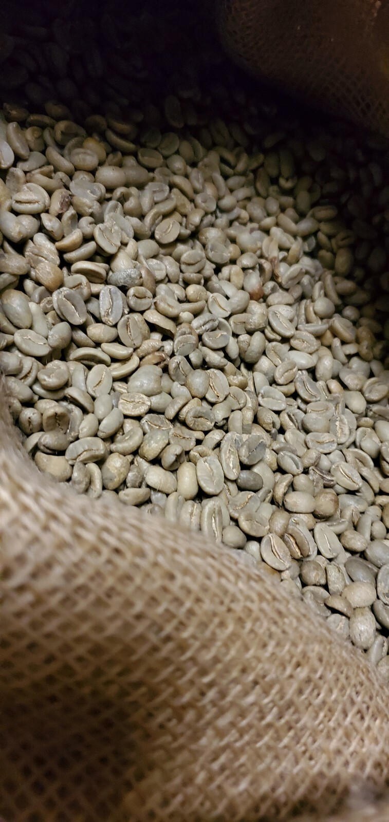 5 LBS PAPUA NEW GUINEA UNROASTED GREEN COFFEE BEANS - ARABICA