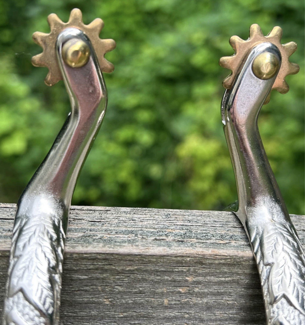 Pair Ladies Western Engraved Stainless Steel Spurs Brass Rowels And Buttons