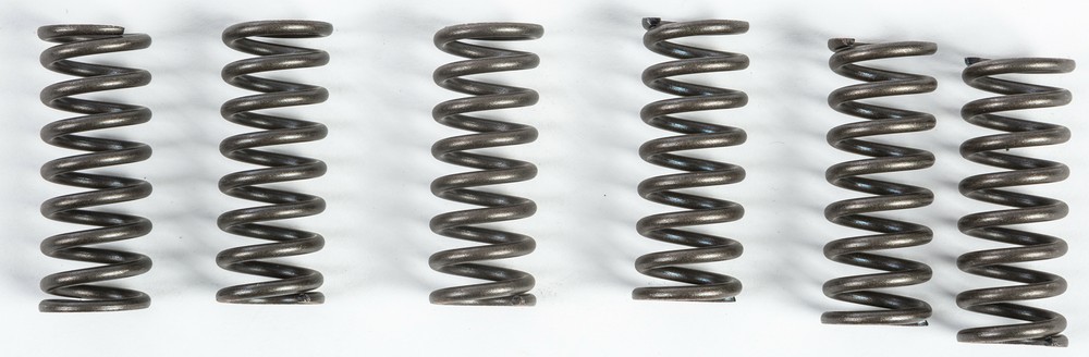 EBC CSK Clutch Spring Kit CSK49