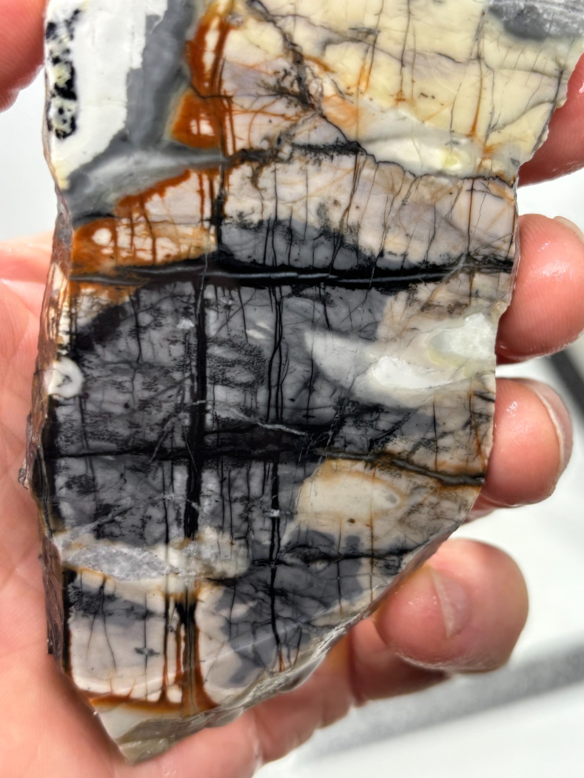 Picasso Marble (Jasper) end Slab Cabbing Lapidary Utah Combo Ship Avail