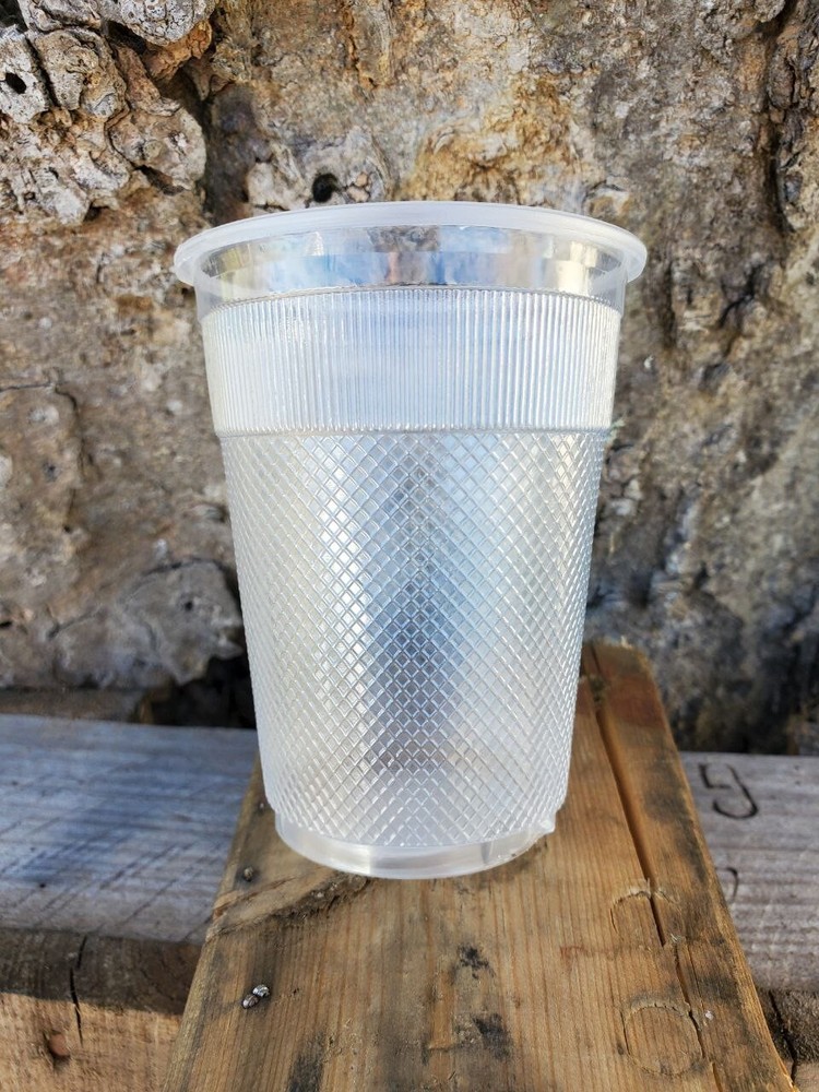 9 oz Plastic Cups Translucent Individually Wrapped Hotel Generic 1000 Pack