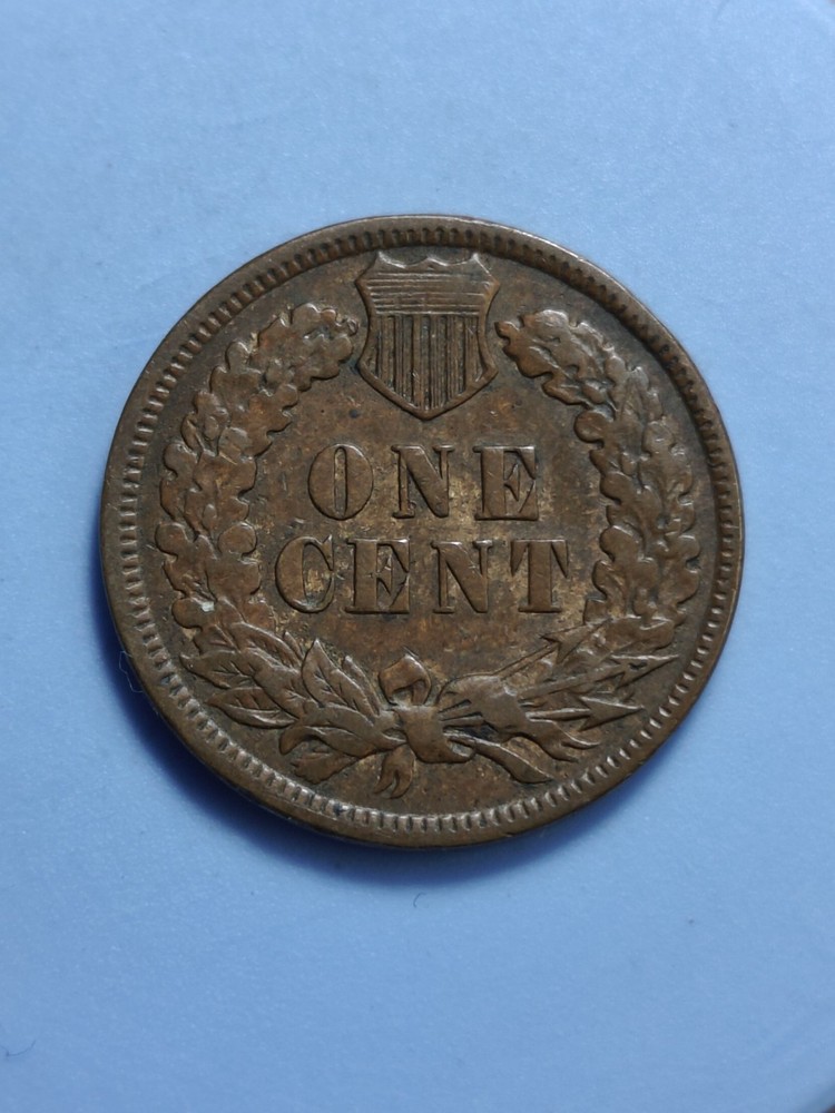 1898 Indian Head Cent #460