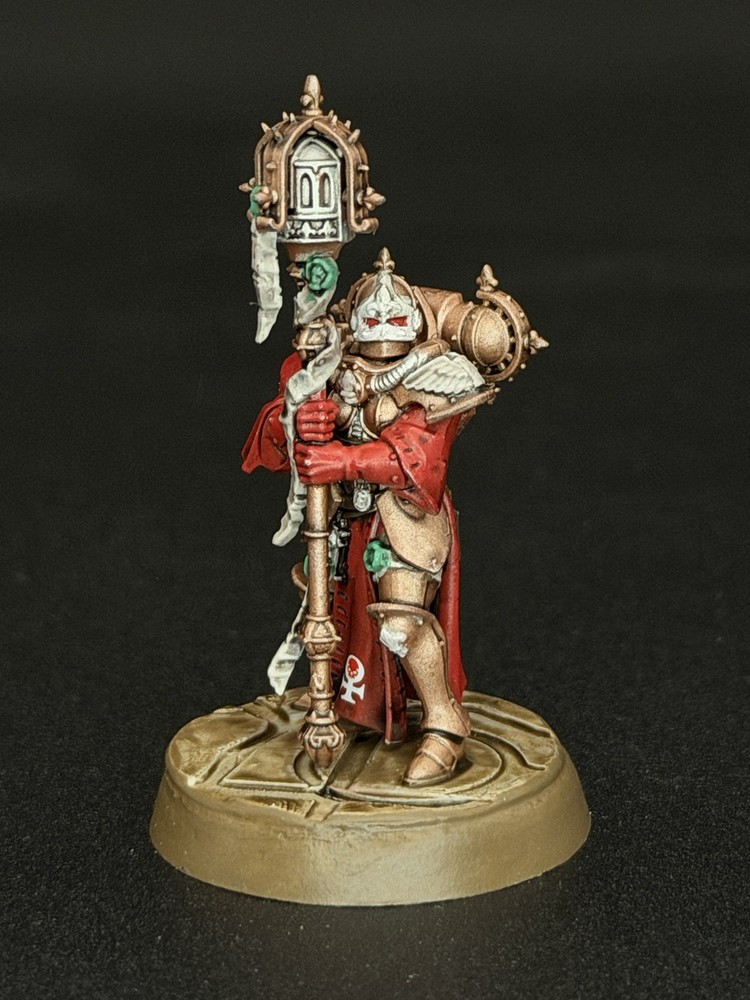 Warhammer Painted Celestian Insidiants Kill Team