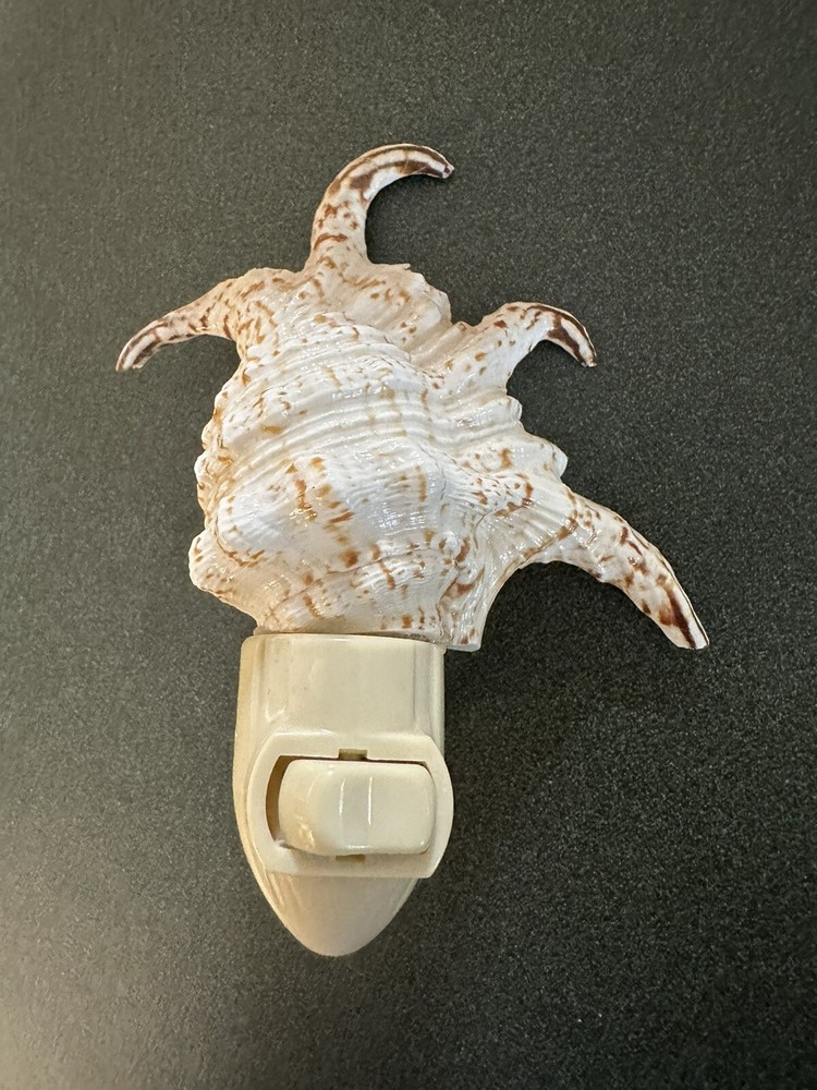 Vtg  Seashell Night Light Plug in Beautiful Natural Shell Approx 5”